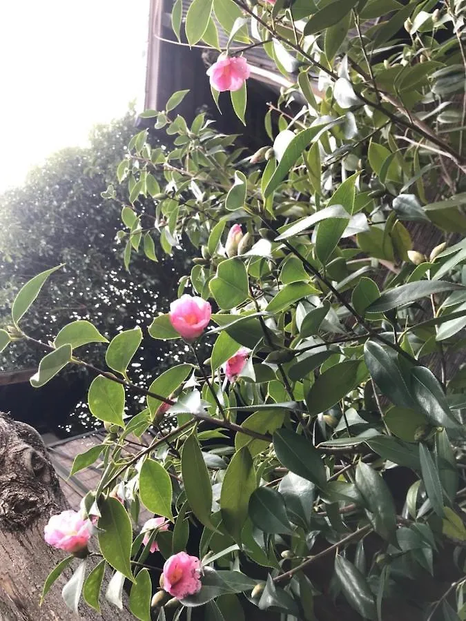 naokonoza Bettei Fuyacho Villa Kiotó Japán