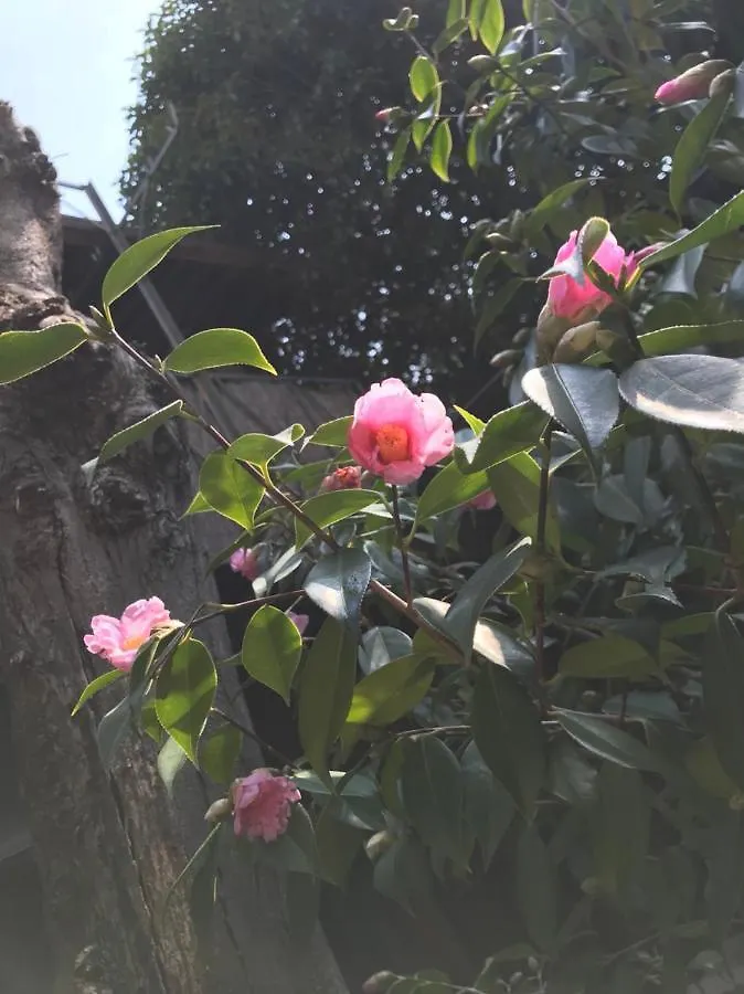 Naokonoza Bettei Fuyacho Holiday home Kyoto