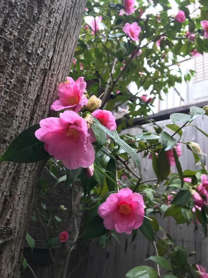 Naokonoza Bettei Fuyacho Holiday home Kyoto Japan